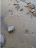 "click" for full size image